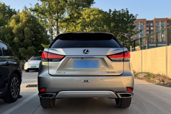 Lexus RX 2020, 160000 км, за 28582 USD