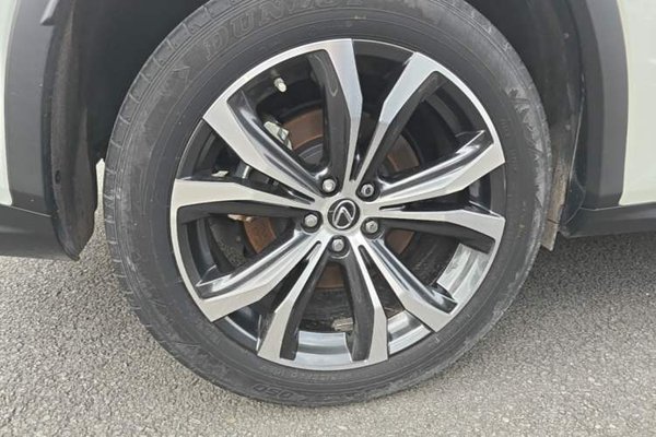Lexus RX 2020, 63500 км, за 41107 USD - фото 10