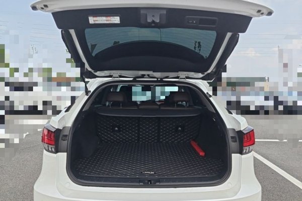 Lexus RX 2020, 63500 км, за 41107 USD - фото 22
