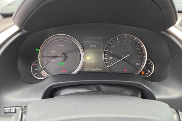 Lexus RX 2020, 26600 км, за 49278 USD - фото 14