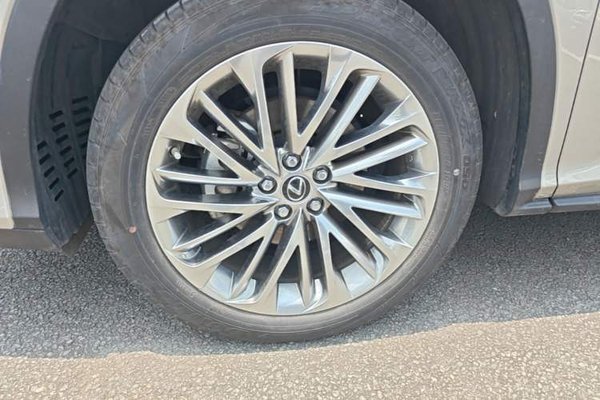 Lexus RX 2020, 26600 км, за 49278 USD - фото 10
