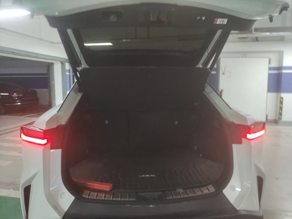 Lexus RZ 2023, 18800 км, за 24980 USD - фото 22