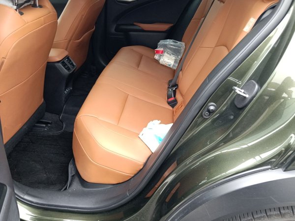 Lexus UX 2020, 80000 км, за 15318 USD - фото 18