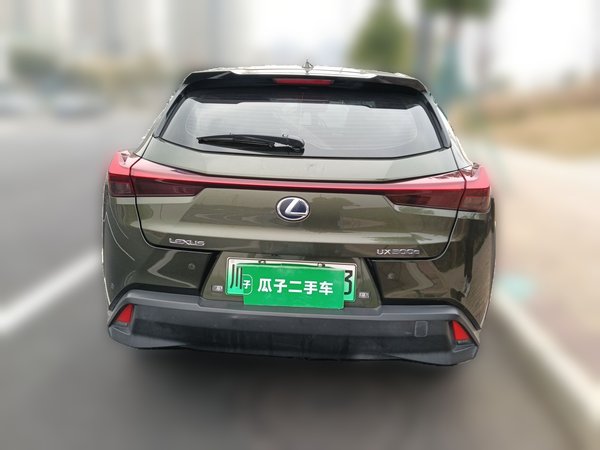 Lexus UX 2020, 80000 км, за 15318 USD