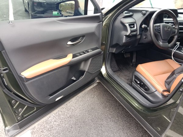 Lexus UX 2020, 80000 км, за 15318 USD - фото 17