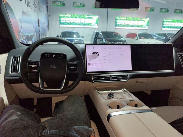 Li Auto L6 2024, 9200 км, за 30072 USD - фото 14