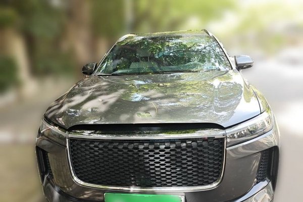 Li Auto ONE 2020, 42900 км, за 19250 USD