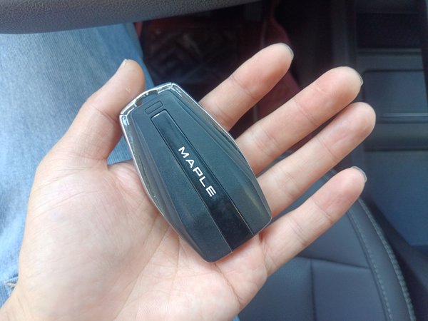 Livan Mapple 80V 2021, 47600 км, за 9825 USD - фото 8