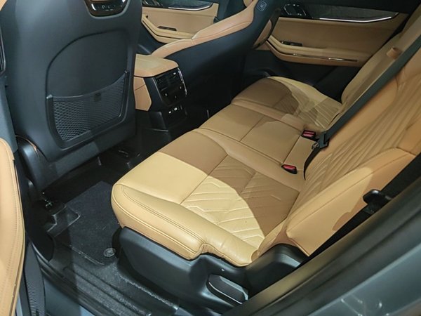 Lynk & Co 09 EM-P 2021, 95800 км, за 20907 USD - фото 20