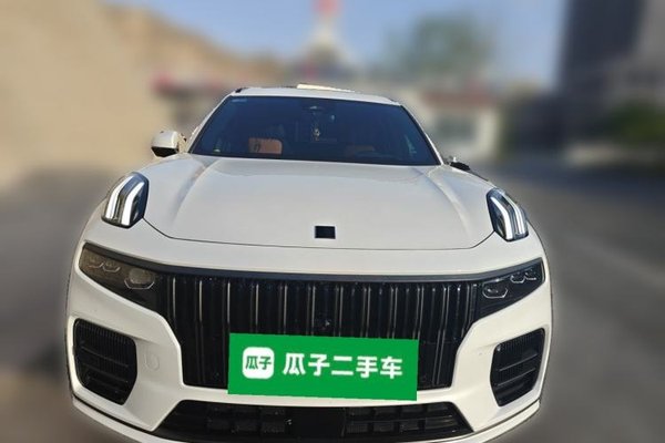 Lynk & Co 09 EM-P 2021, 40300 км, за 24984 USD