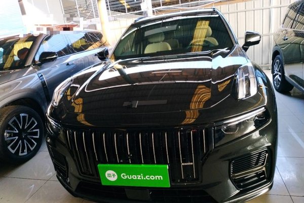 Lynk & Co 09 EM-P 2024, 20100 км, за 29550 USD