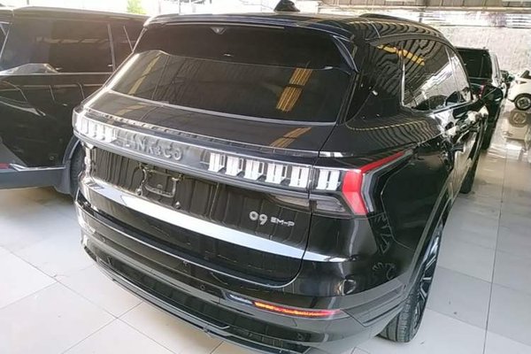 Lynk & Co 09 EM-P 2024, 20100 км, за 29550 USD
