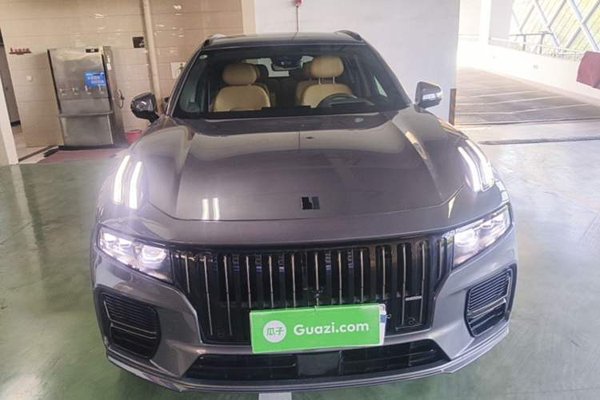 Lynk & Co 09 EM-P 2024, 30900 км, за 29644 USD