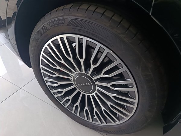 Lynk & Co 900 2025, 16400 км, за 49233 USD - фото 10