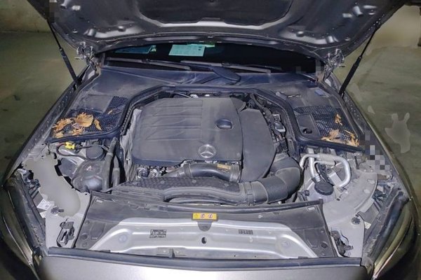 Mercedes-Benz C-Class 2019, 107300 км, за 17165 USD - фото 21
