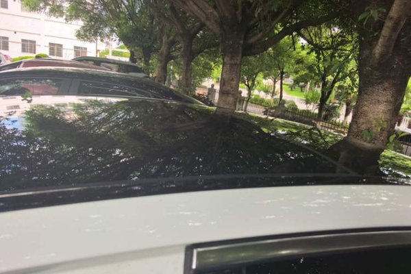 Mercedes-Benz C-Class 2019, 86300 км, за 18123 USD - фото 11