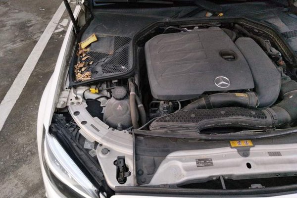 Mercedes-Benz C-Class 2020, 86300 км, за 17251 USD - фото 23
