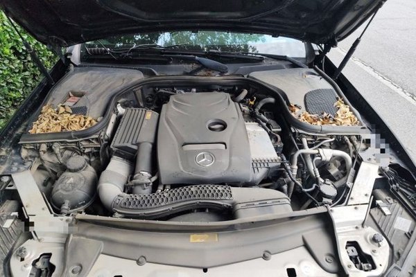 Mercedes-Benz E-Class 2016, 174100 км, за 16781 USD - фото 21