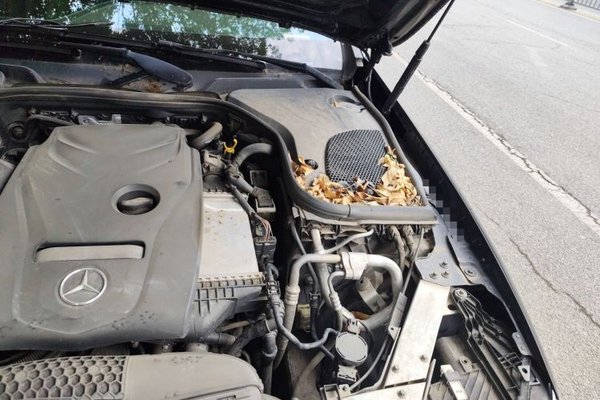 Mercedes-Benz E-Class 2016, 174100 км, за 16781 USD - фото 22