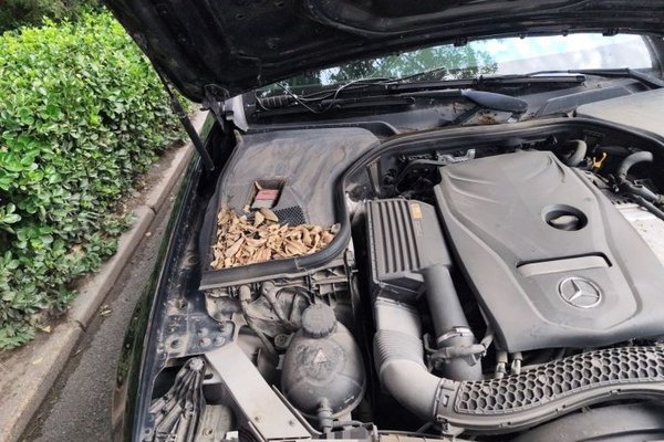 Mercedes-Benz E-Class 2016, 174100 км, за 16781 USD - фото 23
