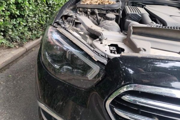 Mercedes-Benz E-Class 2016, 174100 км, за 16781 USD - фото 7