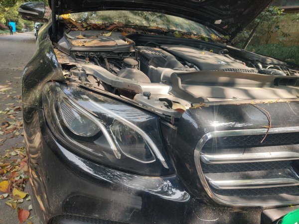 Mercedes-Benz E-Class 2017, 82900 км, за 22581 USD - фото 7
