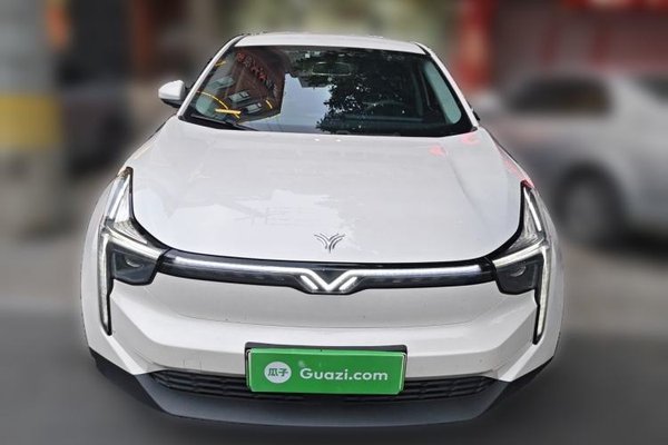 NETA U 2021, 101000 км, за 8378 USD