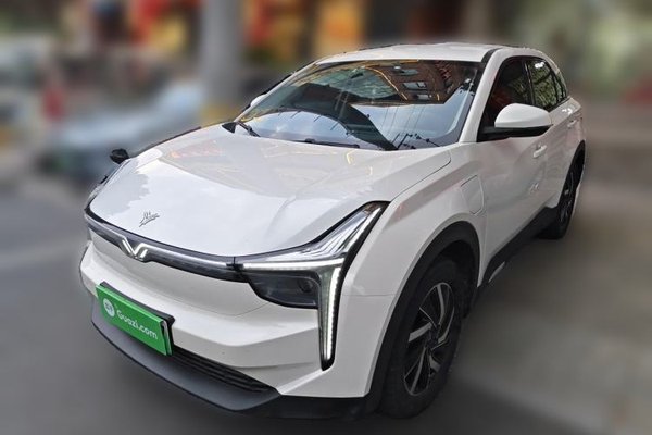 NETA U · 2021 год