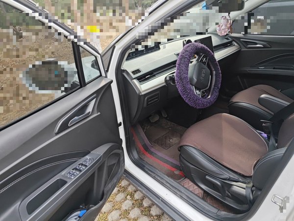 Neta V 2021, 77000 км, за 6122 USD - фото 17