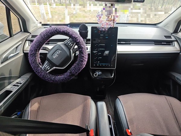 Neta V 2021, 77000 км, за 6122 USD - фото 10