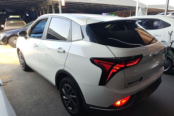 NETA V 2022, 55400 км, за 6850 USD