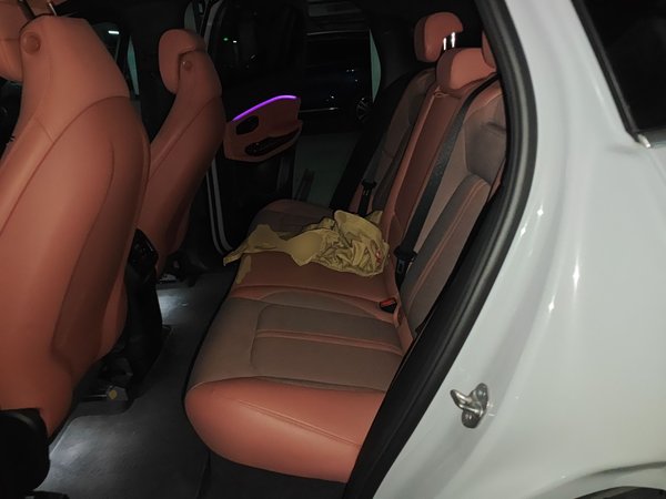 Nio EC6 2020, 81600 км, за 14919 USD - фото 18