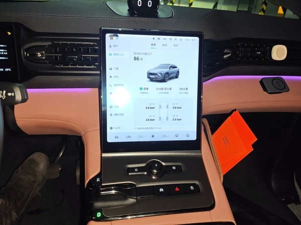 Nio EC6 2020, 81600 км, за 14919 USD - фото 14