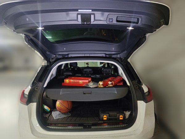 Nio ES8 2018, 113600 км, за 16638 USD - фото 20