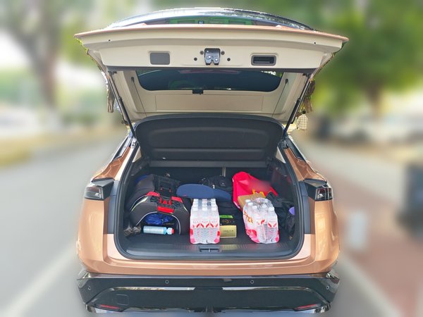 Nissan Ariya 2023, 103400 км, за 15814 USD - фото 20