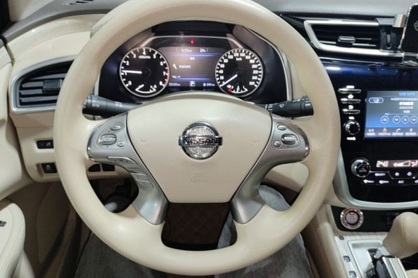 Nissan Murano 2019, 72100 км, за 13953 USD
