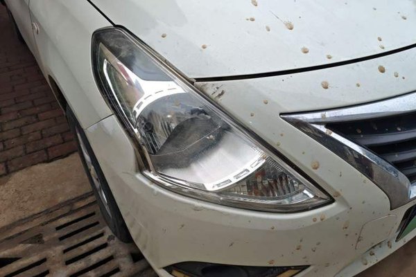 Nissan Sunny 2014, 46100 км, за 3113 USD - фото 7