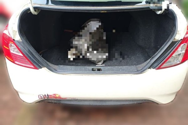 Nissan Sunny 2014, 46100 км, за 3113 USD - фото 19