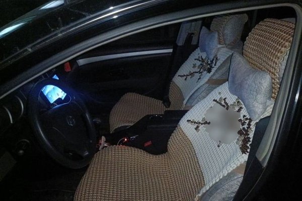 Nissan Sylphy 2012, 94000 км, за 3297 USD - фото 15