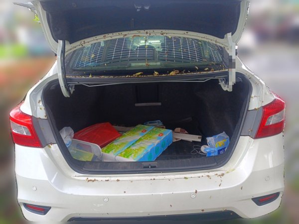 Nissan Sylphy 2016, 79500 км, за 6740 USD - фото 19