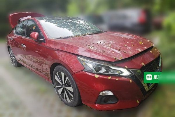 Nissan Teana 2019, 61000 км, за 10809 USD