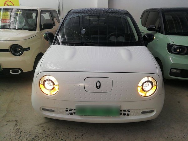 Ora Black cat 2021, 55400 км, за 5997 USD - фото 22