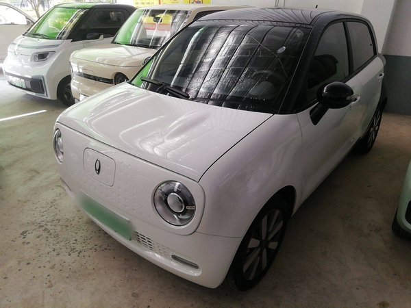 ORA Black Cat 2021 351 km Standard Version