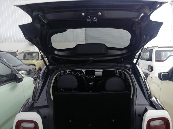 Ora Black cat 2021, 55400 км, за 5997 USD - фото 8