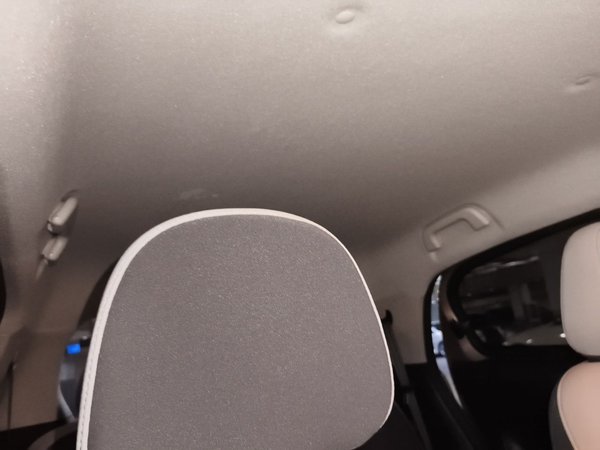 ORA Black Cat 2021, 14100 км, за 7383 USD - фото 14