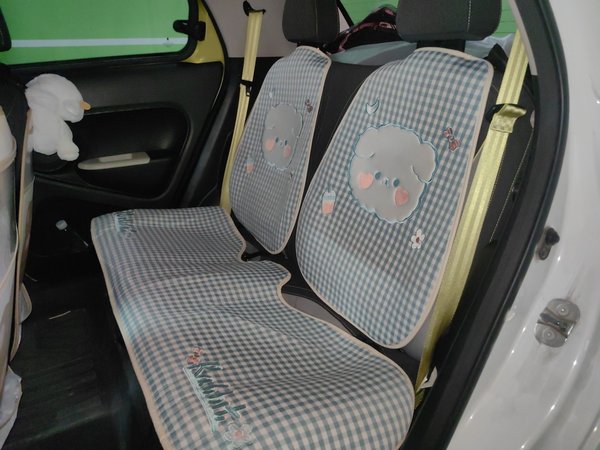 ORA Black Cat 2021, 30100 км, за 6813 USD - фото 18