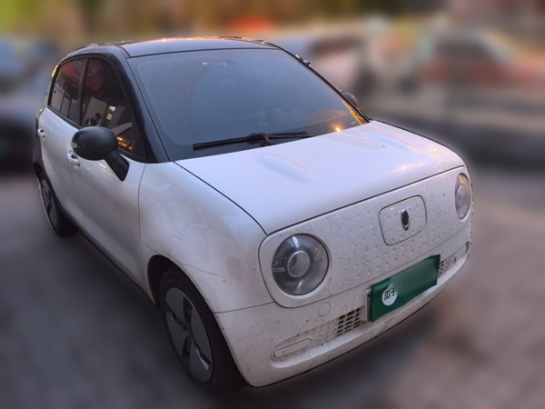 ORA Black Cat 2021, 103400 км, за 5016 USD