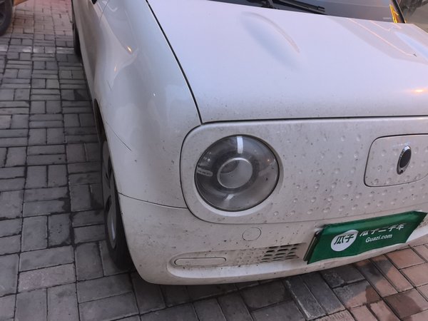 ORA Black Cat 2021, 103400 км, за 5016 USD