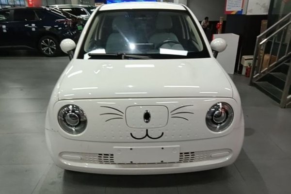 ORA Black Cat 2022, 29100 км, за 6956 USD