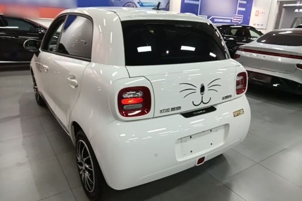 ORA Black Cat 2022, 29100 км, за 6956 USD